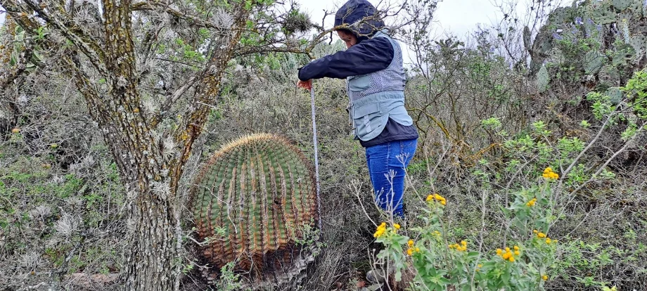 ¿Por qué se realizan muestreos de vegetación para el Cambio de Uso de suelo en Terrenos Forestales (CUSTF)?